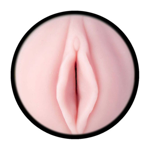 Fleshlight Pink Lady Destroya - Мастурбатор вагіна, 25.4 см - купити в Києві, Україні