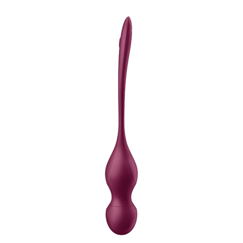 Вагинальные шарики Satisfyer Love Birds Vary App