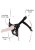Toy Joy Strap-On Pleasure Harness - Трусики для страпона, (черный) Toy Joy Strap-On Pleasure Harness - Трусики для страпона, (черный)