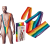 Еротичне чоловіче боді Rainbow Mankini One Size - купити в Києві, Україні Еротичне чоловіче боді Rainbow Mankini One Size - купити в Києві, Україні