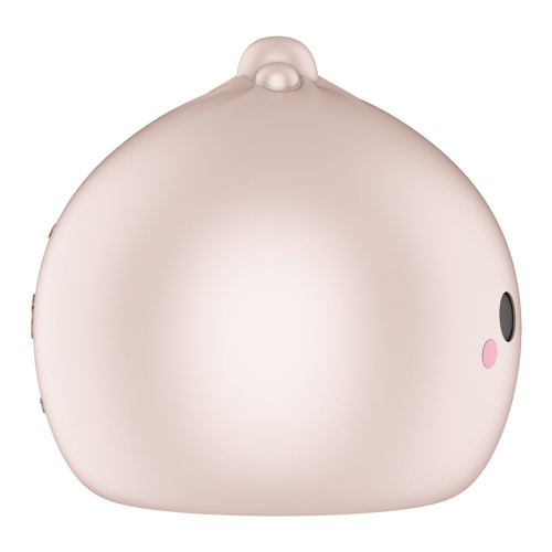 Вакуумный стимулятор клитора Satisfyer Mochi