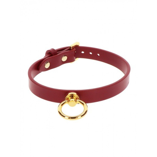 Нашийник з кільцем та повідцем Taboom O-Ring Collar and Chain Leash - купити в Києві, Україні