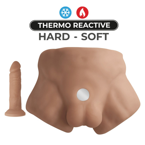 Напівторс з фалоімітатором SilexD Apollo Male Torso - купити в Києві, Україні