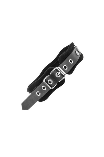 Ошейник с поводком Fetish Tentation Premium Patent Leather Choker & Leash