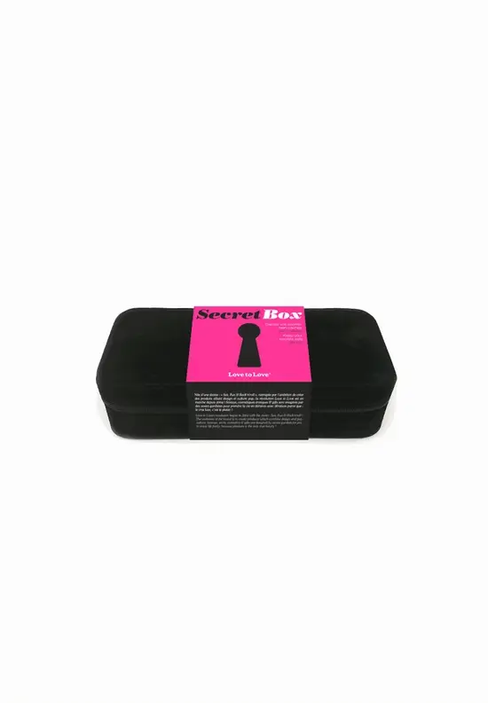Бокс с кодовым замком для хранения секс-игрушек Love To Love Secret Box V2 