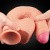 LoveToy 11" Nature Cock Flesh - Гигантский фаллос на присоске, 28х5.3 см LoveToy 11" Nature Cock Flesh - Гигантский фаллос на присоске, 28х5.3 см