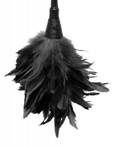 Метелочка Frisky Feather, черный
