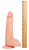 Raging Cockstars Perfect Pecker Paul 7 Inch Realistic Dildo - фаллоимитатор на присоске, 19х5 см Raging Cockstars Perfect Pecker Paul 7 Inch Realistic Dildo - фаллоимитатор на присоске, 19х5 см
