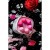 Toyfa Eromantica K-Rose - Набор вагинальных шариков, 16.1х2.8 см (розовый) Toyfa Eromantica K-Rose - Набор вагинальных шариков, 16.1х2.8 см (розовый)