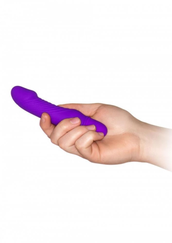ToyJoy Delight Mini Vibe - вибромассажер, 10,5х2,8 см.