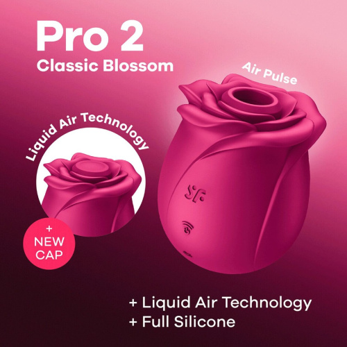 Вакуумный стимулятор Satisfyer Pro 2 Classic Blossom
