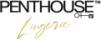 Penthouse (Германия)