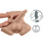 Торс с фаллоимитатором SilexD Apollo Male Torso