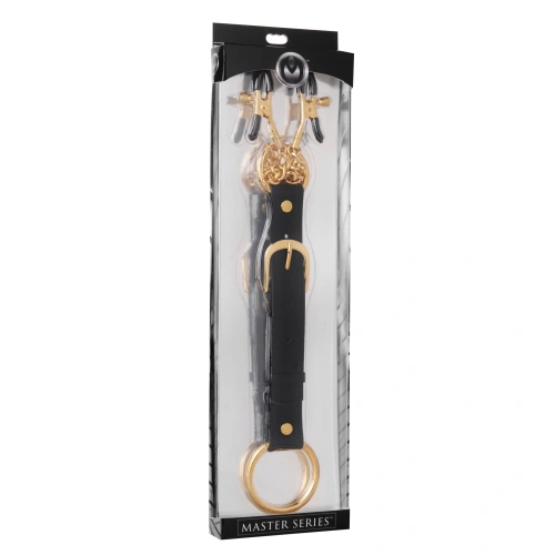 Master Series Penitentiary Nipple Clamps Cock Ring - Зажимы-фиксаторы на соски и пенис