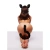 Tailz Black Cat Tail Anal Plug & Mask Set - ролевой БДСМ набор кота: маска и анальная пробка с хвостом
