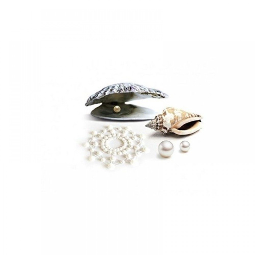 Bijoux Indiscrets Mimi Pearl - пестис з кристалів прикраса на соски, (бежевий) - купити в Києві, Україні