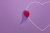 Вібратор в трусики FairyGasm HeartGem - купити в Києві, Україні Вібратор в трусики FairyGasm HeartGem - купити в Києві, Україні