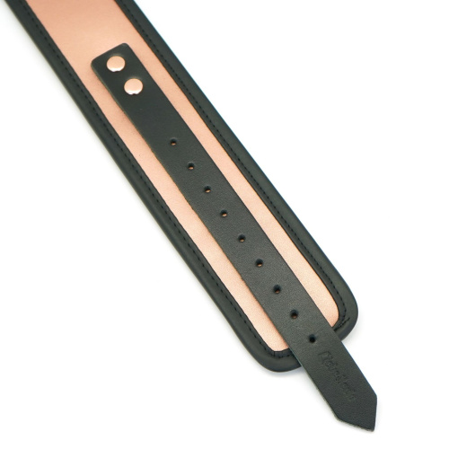 Широкий ошейник с поводком Liebe Seele Rose Gold Memory Collar with Leash