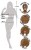 You2Toys Elements Ocean Love Doll надувная секс кукла в натуральную величину, 152 см You2Toys Elements Ocean Love Doll надувная секс кукла в натуральную величину, 152 см