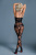 Бодистокинг Caprice Lingerie Model 11 открытый доступ, One size