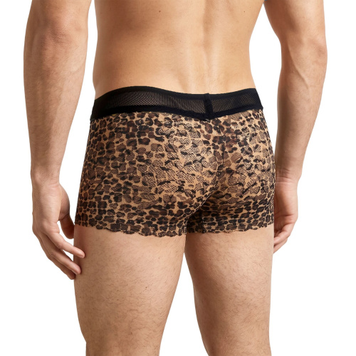 Мужские трусы Art of Sex - Lion, XL