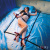 Фиксаторы на кровать Scandal 8 Points of Love Bed Restraint Фиксаторы на кровать Scandal 8 Points of Love Bed Restraint