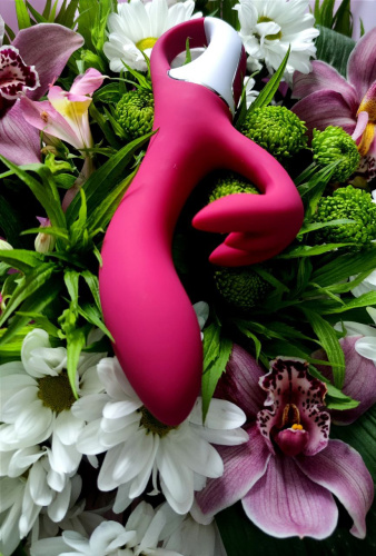Satisfyer Embrace me - Вібратор кролик, 21.6х4.6 см (бордо) - купити в Києві, Україні