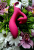 Satisfyer Embrace me - Вібратор кролик, 21.6х4.6 см (бордо) - купити в Києві, Україні Satisfyer Embrace me - Вібратор кролик, 21.6х4.6 см (бордо) - купити в Києві, Україні