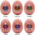 Набор мастурбаторов-яиц Tenga Egg Hard Boilded II Pack, 6 шт