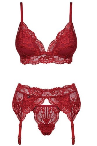 Obsessive 810-SEG-3 set - комплект кружевного белья с поясом для чулок, L/XL (красный)