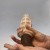 Alive Anal Experience Mini Masturbator - Мастурбатор, 8.5х5 см (фиолетовый) Alive Anal Experience Mini Masturbator - Мастурбатор, 8.5х5 см (фиолетовый)