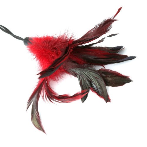 Sportsheets - Pleasure Feather Red - Метелочка-щекоталка на веревочной петле