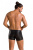 Passion - 049 SHORT MATT black - Сексуальные мужские шорты на молниях, S/M Passion - 049 SHORT MATT black - Сексуальные мужские шорты на молниях, S/M