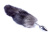 Анальна пробка з хвостом B - Series Fox Tail Black, 2XL - купити в Україні | Секс шоп SEX-SHOP.ua Анальна пробка з хвостом B - Series Fox Tail Black, 2XL - купити в Україні | Секс шоп SEX-SHOP.ua