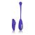 CalExotics Impulse EStim Remote Kegel Exerciser-віброяйцо тренажер Кегеля - купити в Києві, Україні