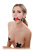 Fetish Fantasy Two Tone Gag - Кляп Fetish Fantasy Two Tone Gag - Кляп