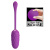 Pretty Love Marina Vibrating Egg Purple - Виброяйцо, 19,7 см (фиолетовый) Pretty Love Marina Vibrating Egg Purple - Виброяйцо, 19,7 см (фиолетовый)
