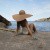 Cala Azul - Кольцо эрекционное на пенис с вибрацией, 14,7 см (голубой) Cala Azul - Кольцо эрекционное на пенис с вибрацией, 14,7 см (голубой)